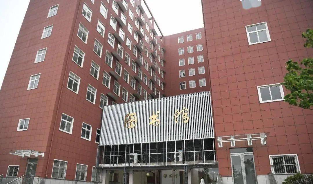 周口厨师招聘信息更新与行业趋势深度解析